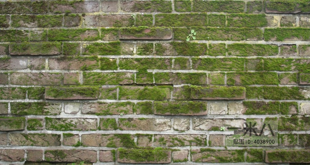 Stone Brick Wall