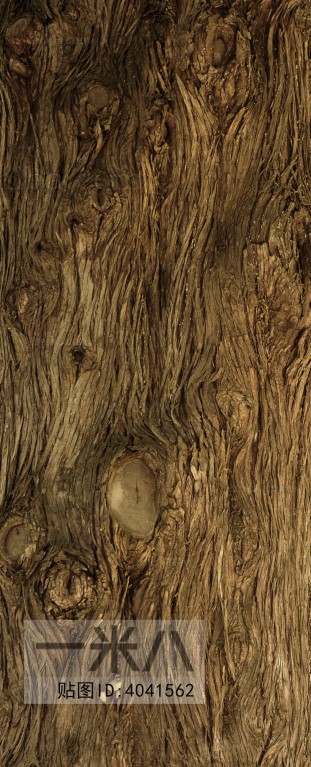 Bark Texture