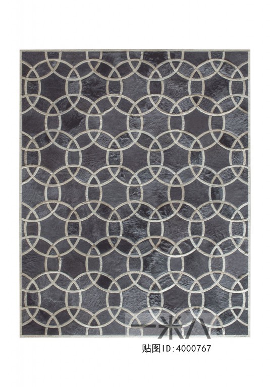 Modern Rug