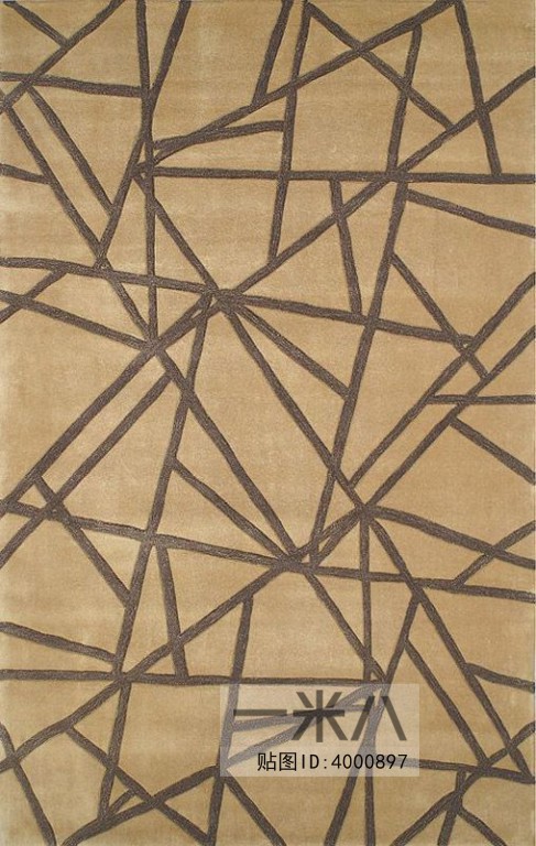 Modern Rug