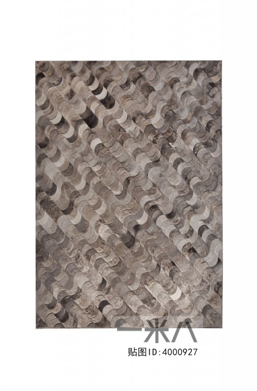 Modern Rug