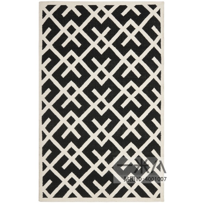 Modern Rug