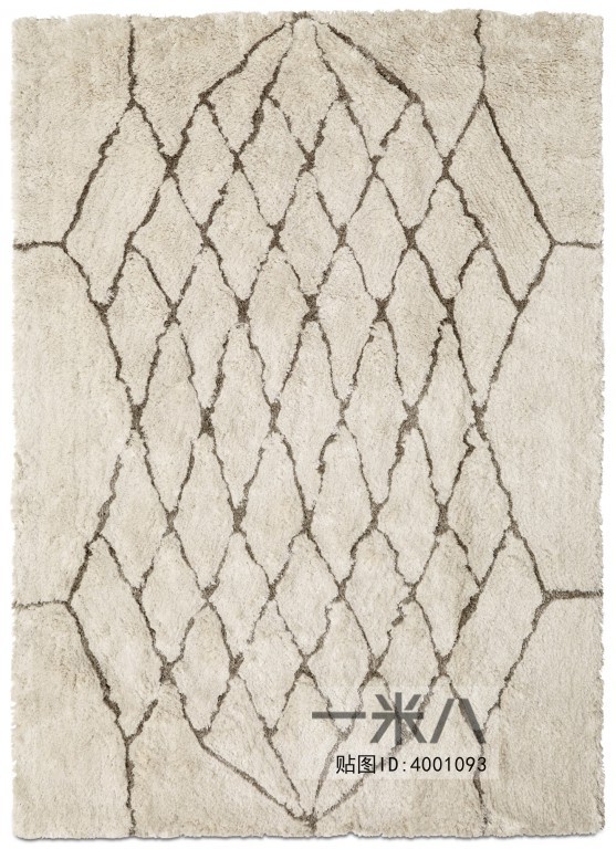 Modern Rug