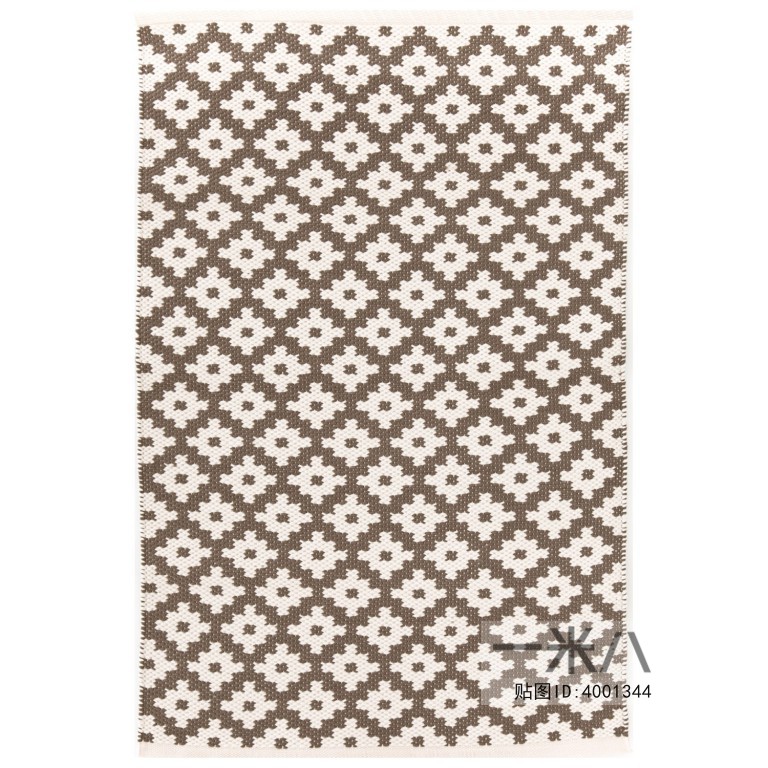 Modern Rug