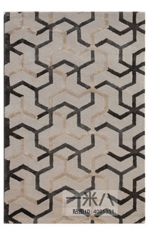 Modern Rug