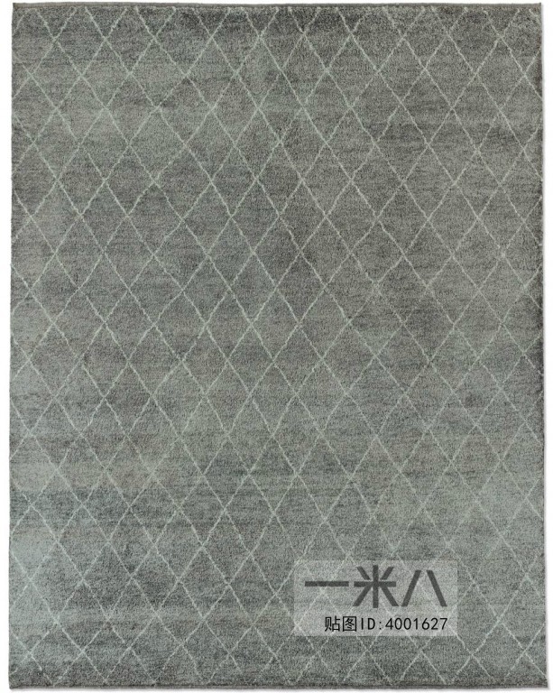 Modern Rug