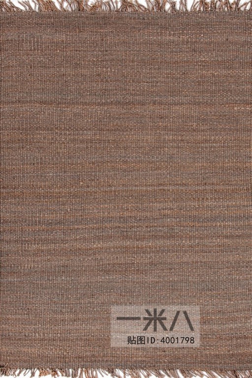 Modern Rug