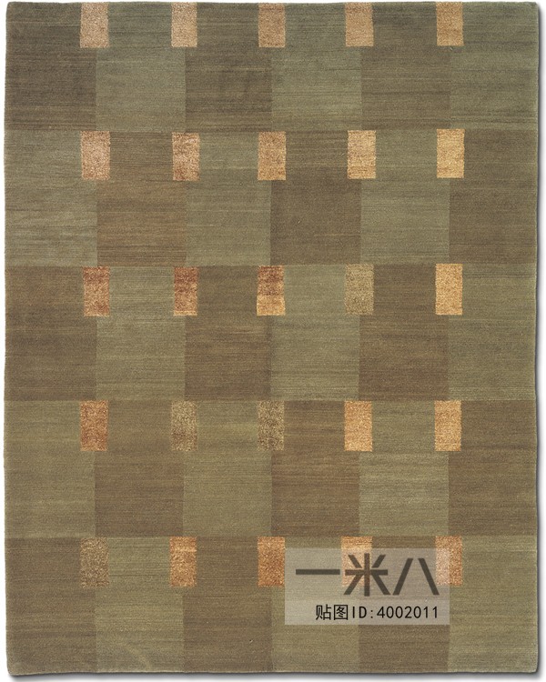 Modern Rug