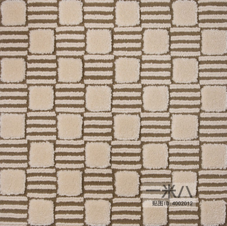 Modern Rug