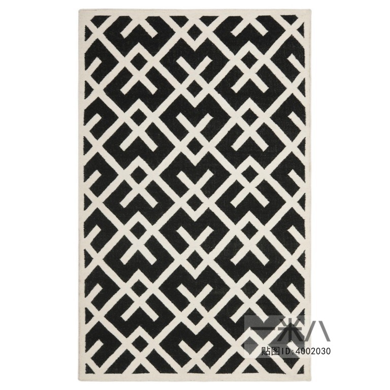 Modern Rug