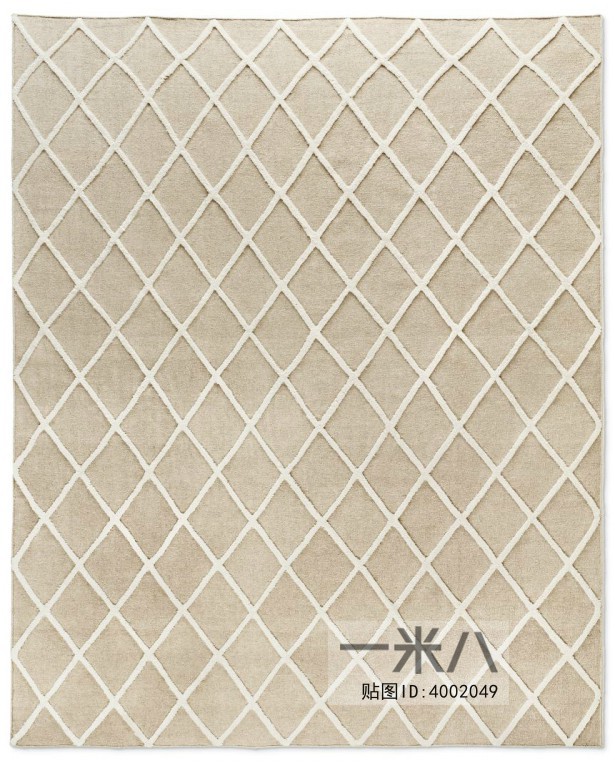 Modern Rug