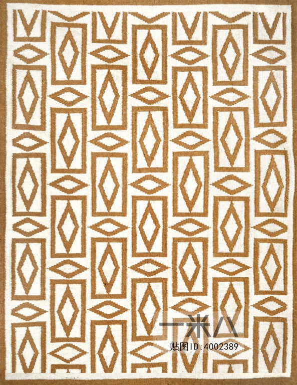 Modern Rug