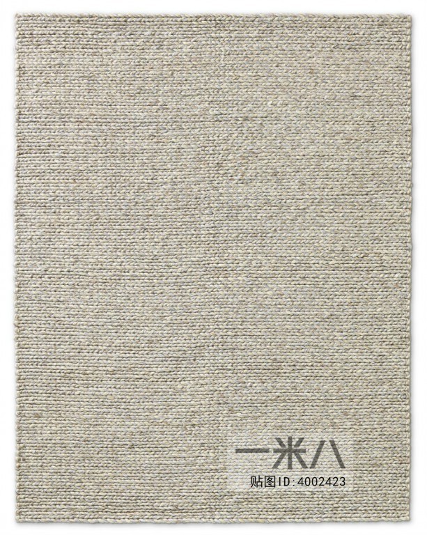 Modern Rug