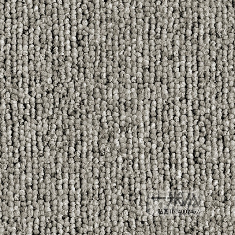 Modern Rug