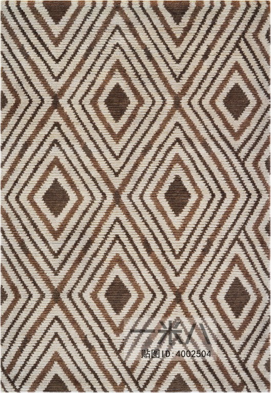 Modern Rug