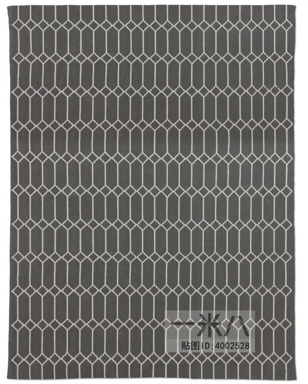 Modern Rug