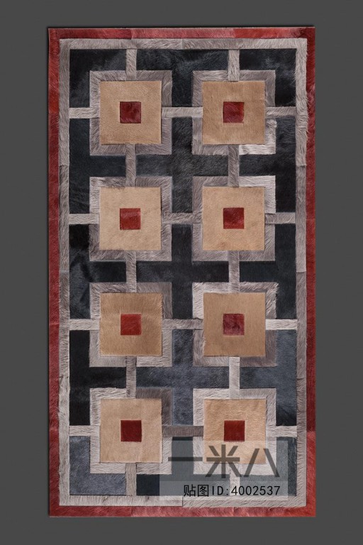 Modern Rug