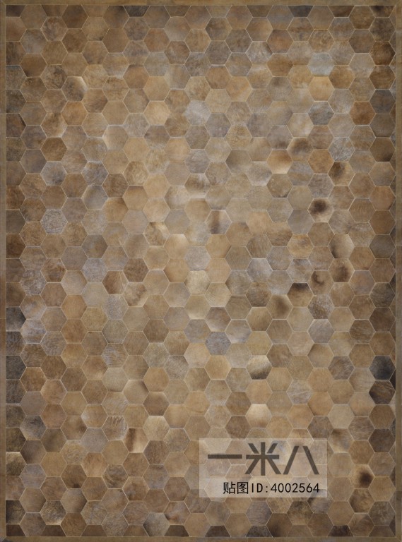 Modern Rug