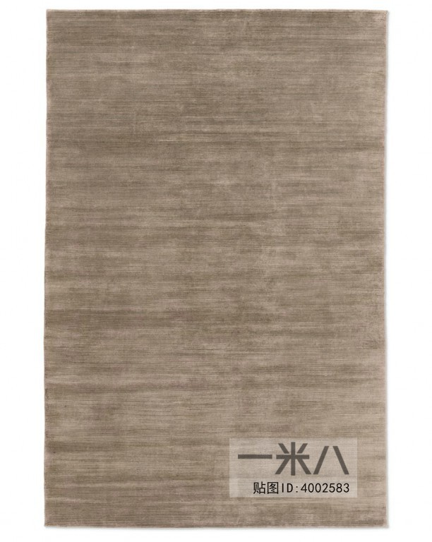 Modern Rug