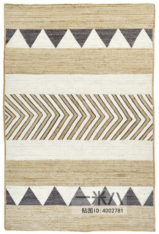 Modern Rug