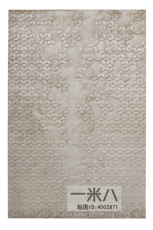 Modern Rug