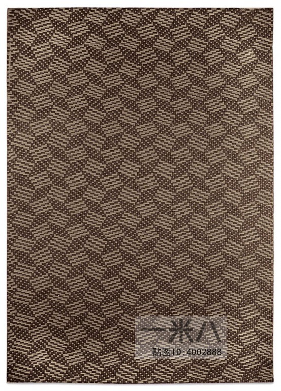 Modern Rug