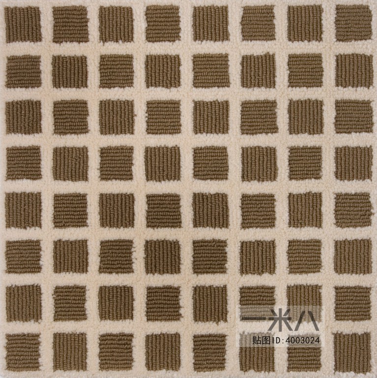 Modern Rug