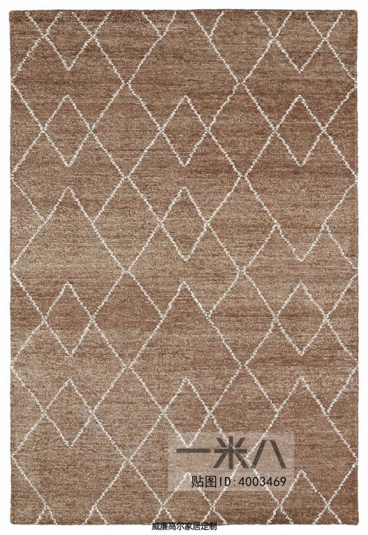 Modern Rug