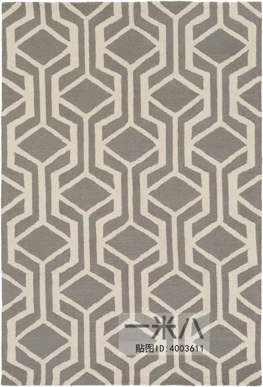 Modern Rug