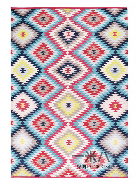 Modern Rug