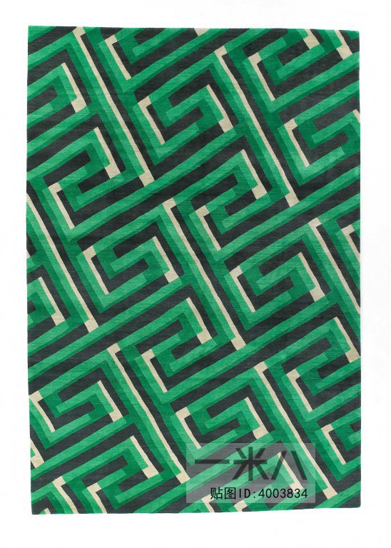 Modern Rug