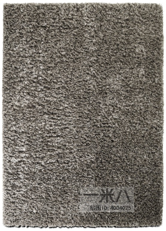 Modern Rug