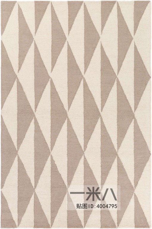 Modern Rug