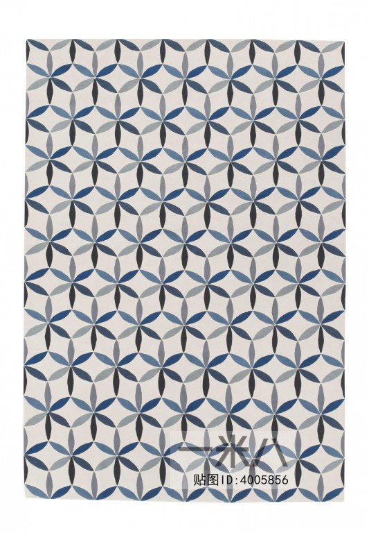 Modern Rug