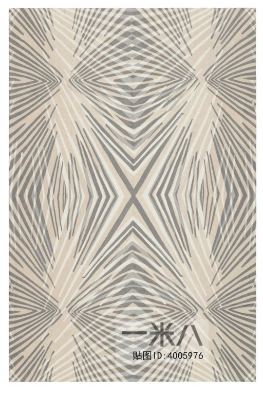 Modern Rug