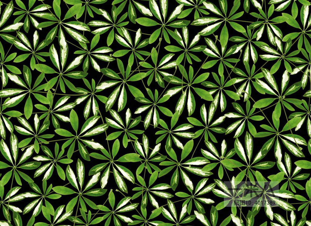 Animal And Plant Pattern Wallpaper