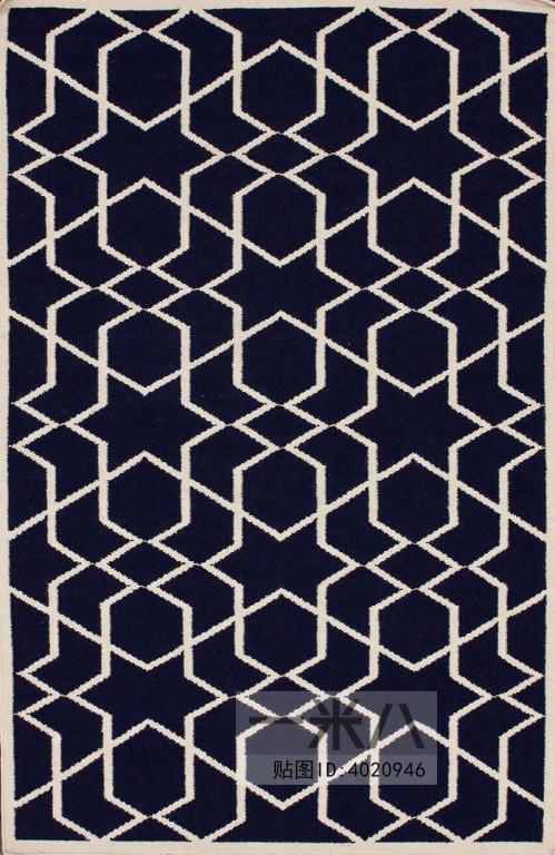 Modern Rug