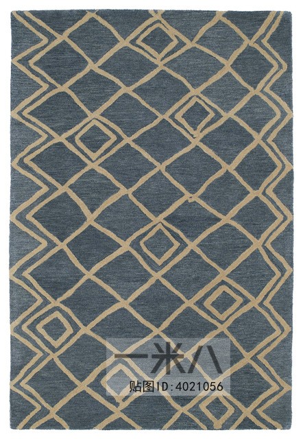 Modern Rug