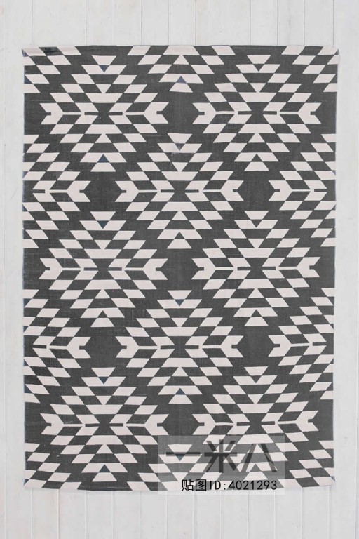 Modern Rug