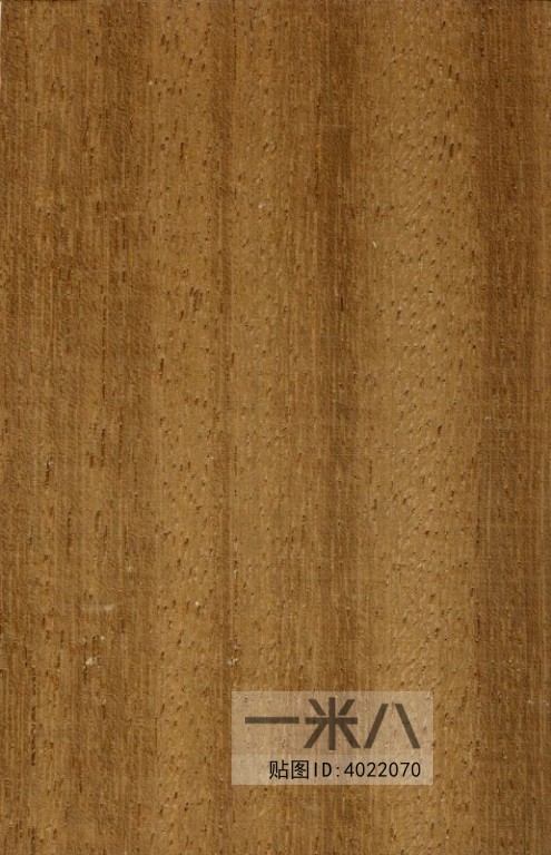 Wood Texture