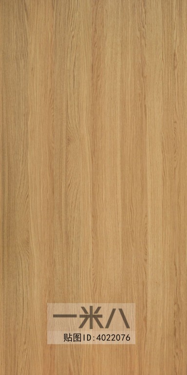Wood Texture