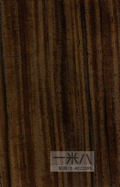 Wood Texture