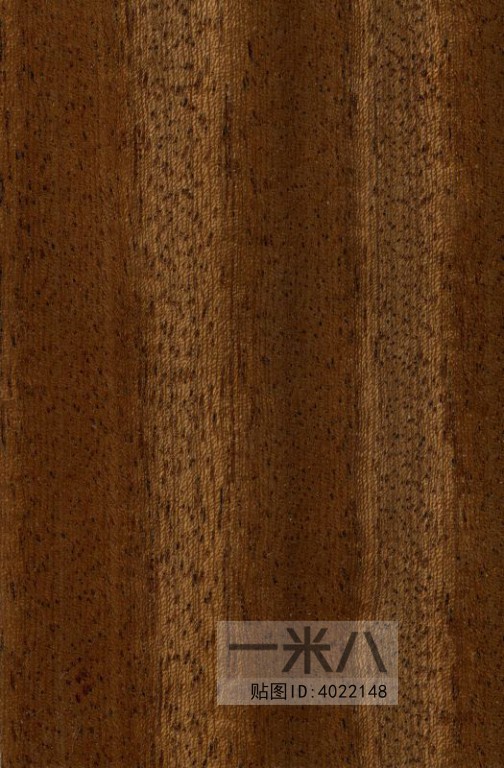 Wood Texture