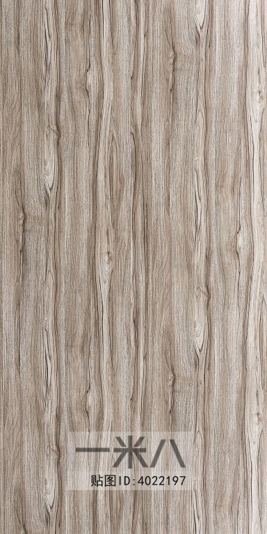 Wood Texture