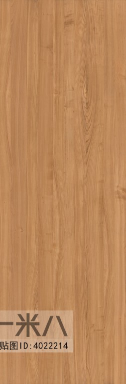 Wood Texture