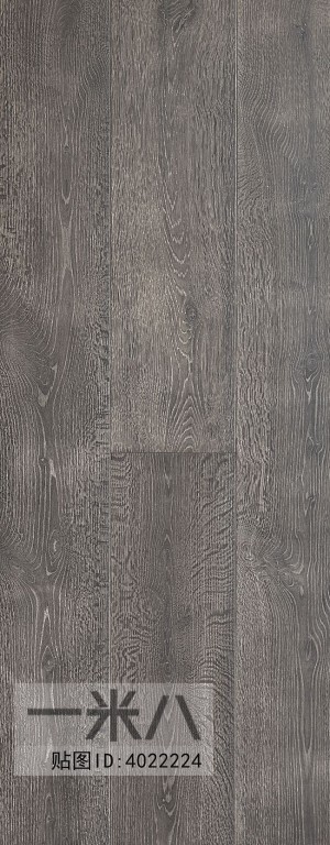 Wood Texture