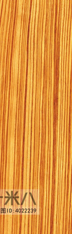 Wood Texture