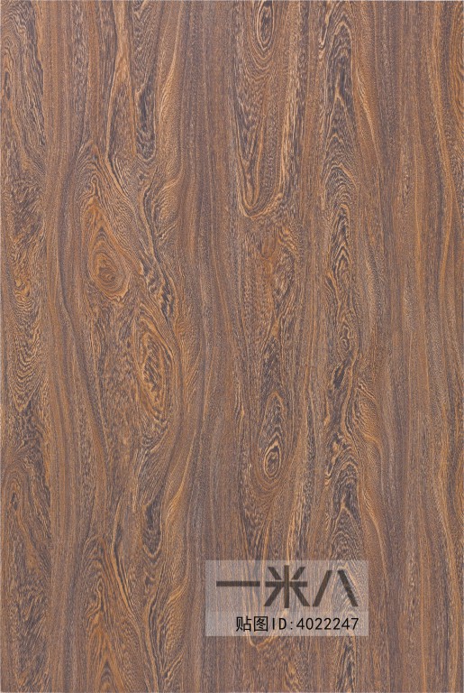 Wood Texture