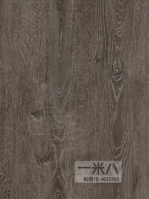 Wood Texture