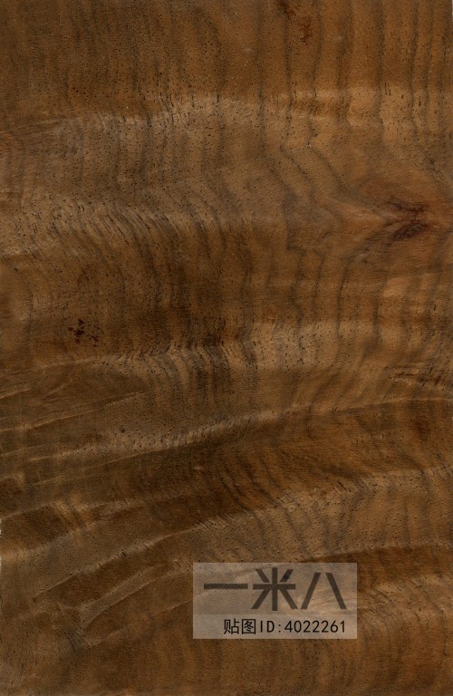 Wood Texture